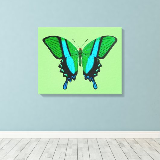 Toile Papillon Swallowtail en vert, turquoise et noir (Insitu (Plancher de Bois))