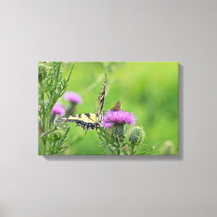 Toile Papillon swallowtail et skipper sur chardon