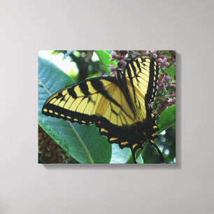 Toile Papillon Swallowtail I sur Asclépiade à Shenandoah