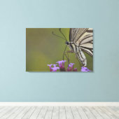 Toile Papillon Swallowtail sur fleur, Chiba (Insitu (Plancher de Bois))