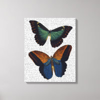 Papillons 5