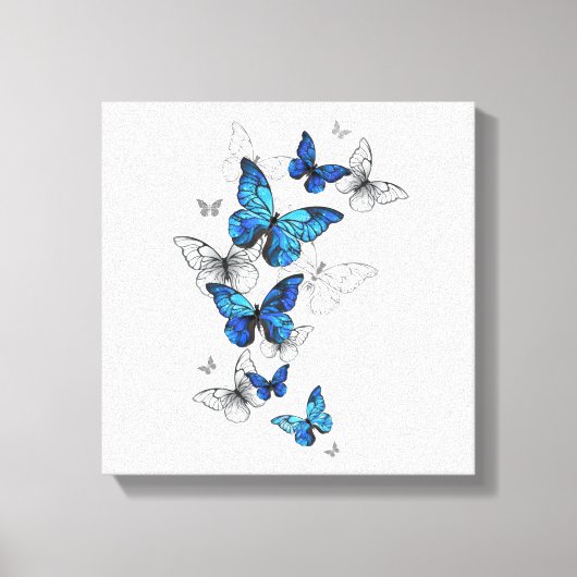 Toile Papillons volants bleus Morpho (Recto)