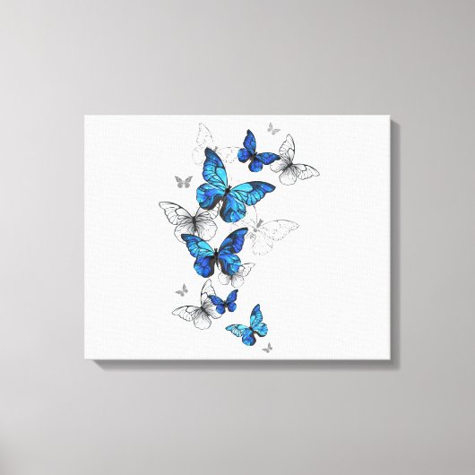 Toile Papillons volants bleus Morpho (Recto)