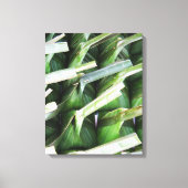 Toile Paquets en feuille de bananier enveloppés (Recto)