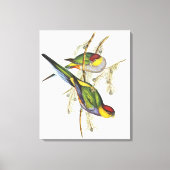 Toile Parakeet - Oiseaux Vintages (Recto)
