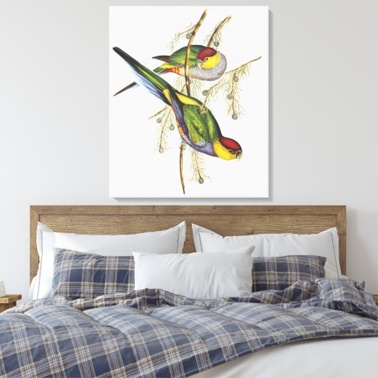 Toile Parakeet - Oiseaux Vintages (Insitu(Chambre))