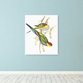 Toile Parakeet - Oiseaux Vintages (Insitu (Plancher de Bois))