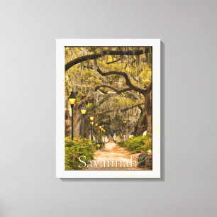 Toile Parc de Forsyth - la savane, GA