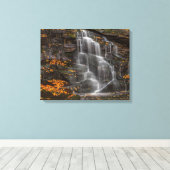 Toile Parc d'État de Blackwater Falls (Insitu (Plancher de Bois))