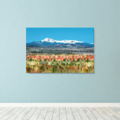 Toile Parc D'État Du Mont Katahdin Baxter Dans Le Maine (Insitu (Plancher de Bois))