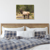 Toile Parc national Bull Elk Yellowstone, Wyoming (Insitu(Chambre))
