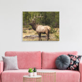 Toile Parc national Bull Elk Yellowstone, Wyoming (Insitu(Salon))
