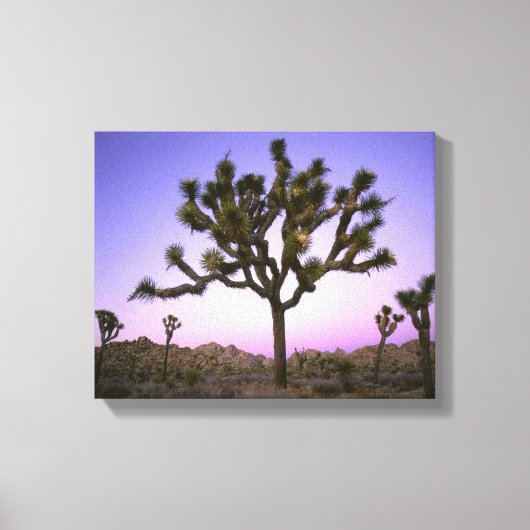 Toile PARC NATIONAL DE JOSHUA TREE, CALIFORNIE. États-Un (Recto)