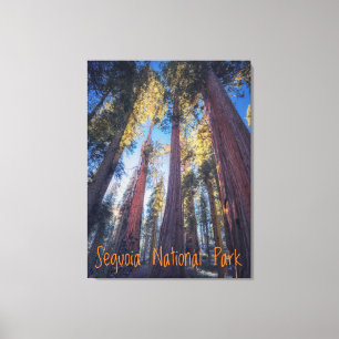 Toile Parc national de Sequoia Californie