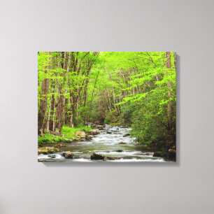 Toile Parc national des Great Smoky Mountains Caroline d