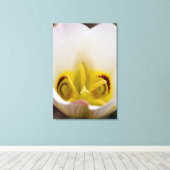 Toile Parc national du Capitol Reef, Utah, États-Unis 2 (Insitu (Plancher de Bois))