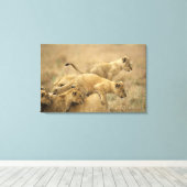 Toile Parc national du Serengeti, Tanzanie 2 (Insitu (Plancher de Bois))