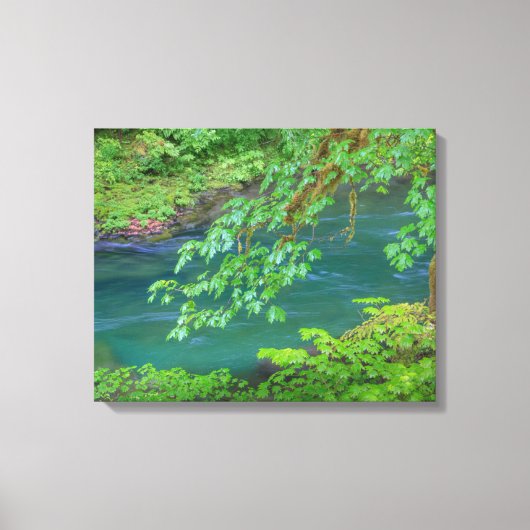 Toile Parc national olympique Washington State (Recto)