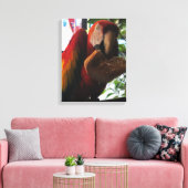 Toile Parrot Macaw Scarlet Manger Toast (Insitu(Salon))