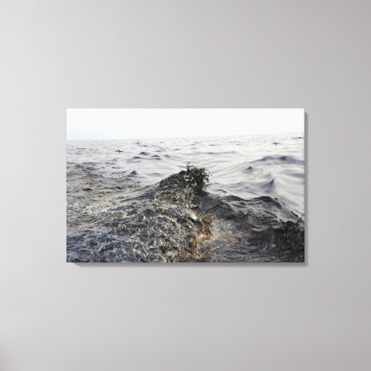 Toile Partie d'une nappe de pétrole dans le golfe du Mex (Recto)