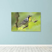 Toile Paruline à gorge jaune mâle, Dendroica (Insitu (Plancher de Bois))