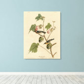 Toile Paruline à poitrine large - Audubon's Birds of Ame (Insitu (Plancher de Bois))