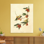 Toile Paruline à rathbone (jaune) Audubon Birds of Ameri (Insitu(Salon))