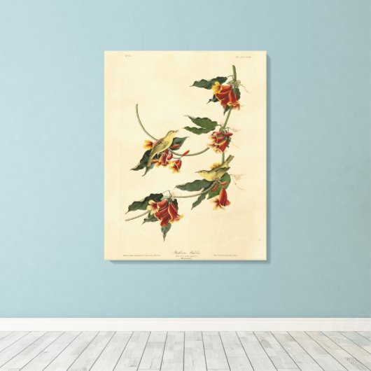Toile Paruline à rathbone (jaune) Audubon Birds of Ameri (Insitu (Plancher de Bois))