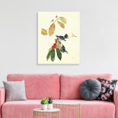 Toile Paruline azurée (Cerulean), Audubon Birds of Ameri (Insitu(Salon))