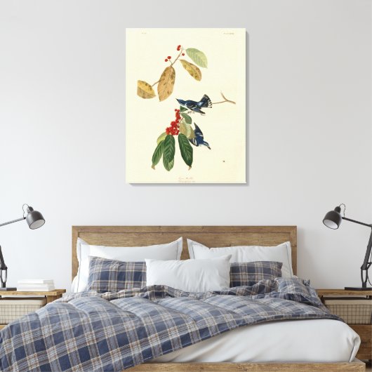 Toile Paruline azurée (Cerulean), Audubon Birds of Ameri (Insitu(Chambre))