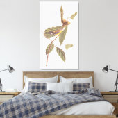 Toile Paruline de Swainson d'Audubon sur chêne Branche (Insitu(Chambre))