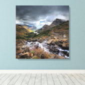 Toile Passe de la rivière Swiftcurrent 3 - Parc national (Insitu (Plancher de Bois))