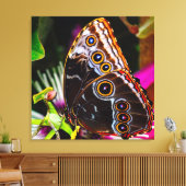 Toile Passiflora VIOLACEA et un papillon morpho bleu (Insitu(Salon))