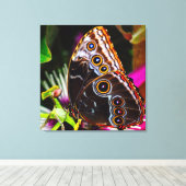 Toile Passiflora VIOLACEA et un papillon morpho bleu (Insitu (Plancher de Bois))