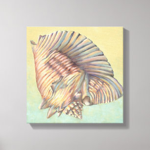Toile Pastel Large Conch Shell