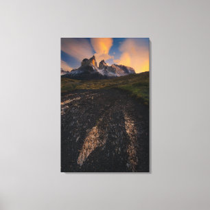 Toile Patagonia