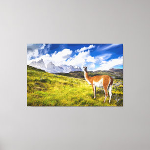 Toile Patagonie