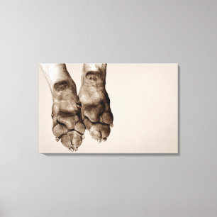 Toile Pattes de chiens