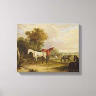 Toile Pâturage de chevaux : Un étalon gris frôlant avec