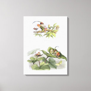 Toile Pauvre petite Birdie taquiné, et Courtship coupé c