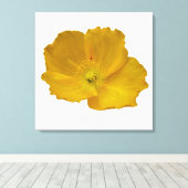 Toile Pavot jaune Fleur sauvage de l'Alaska Floral (Insitu (Plancher de Bois))