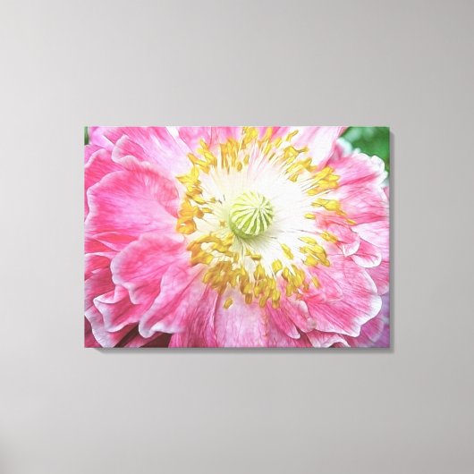 Toile Pavot rose frileux (Recto)