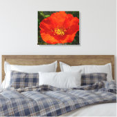 Toile Pavot rouge de l'Alaska Fleur colorée (Insitu(Chambre))