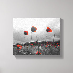 Toile Pavots en le noir, le blanc et le rouge