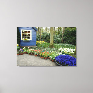 Toile Pays-Bas aka Holland), Lisse. Keukenhof 6