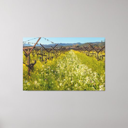 Toile Pays vinicole (Recto)