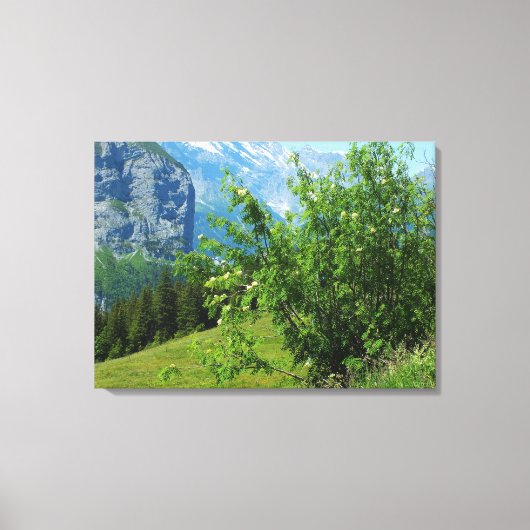 Toile Paysage alpin en Suisse (Recto)