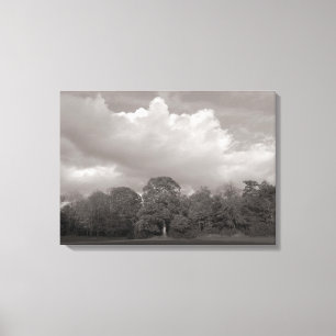 Toile Paysage d'automne Bute Park Cardiff