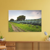 Toile Paysage De Blue Agave (Insitu(Salon))