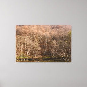 Toile Paysage de forêt automnale - Nature sauvage Rouman